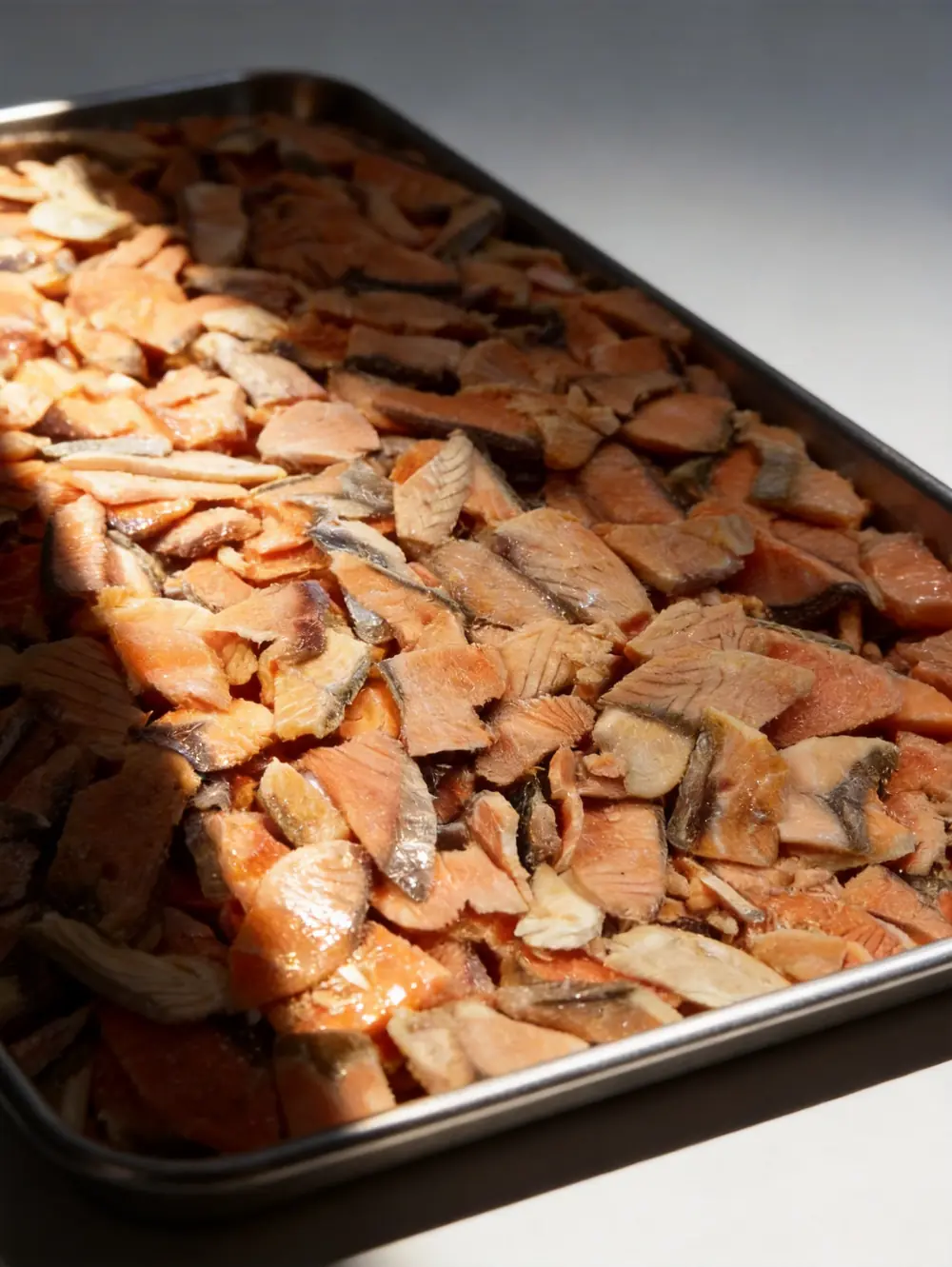 Freeze-dried salmon slices arranged on drying trays: a properly dried batch with uniform texture