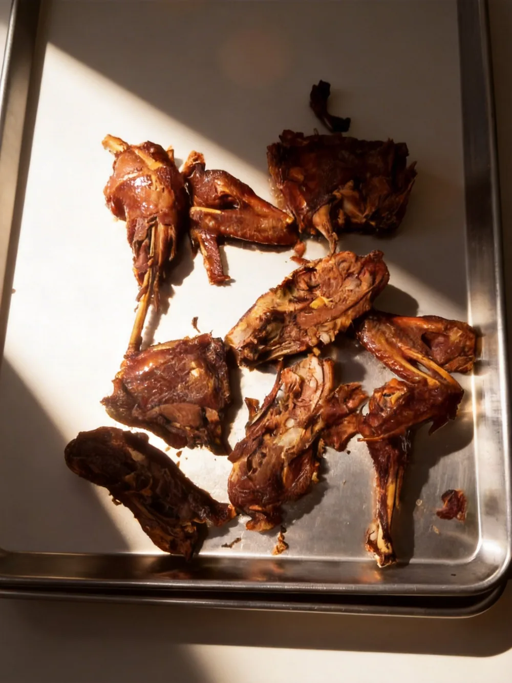 Freeze-dried poultry pieces on a tray: meat products need validated drying cycles for food safety