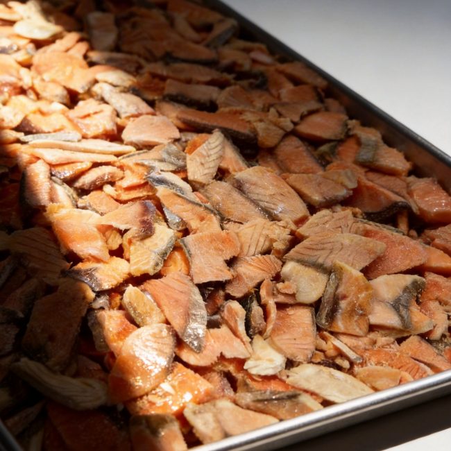 freeze-dried salmon