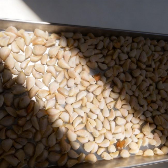 freeze-dried garlic