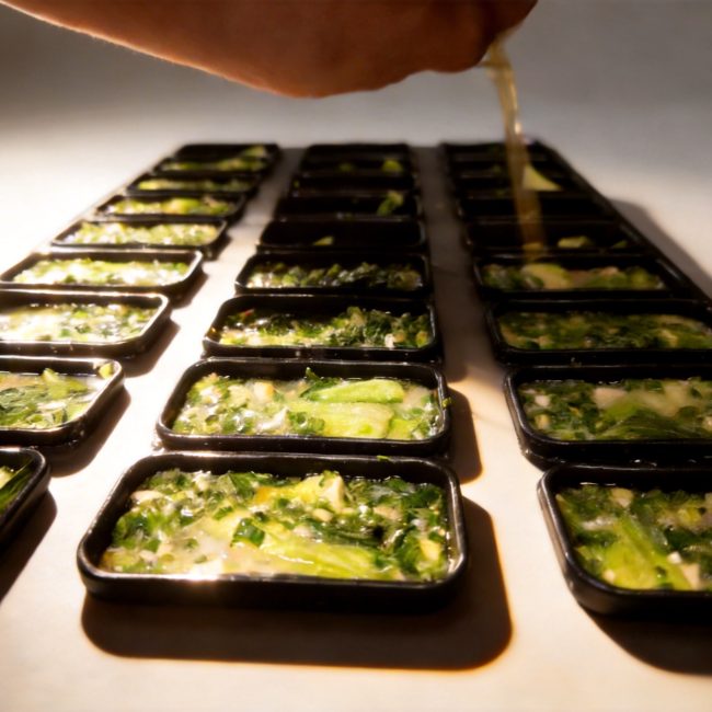 Freeze-dried convenience foods