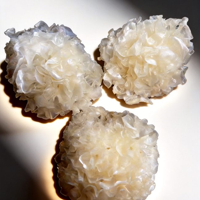 freeze-dried white fungus