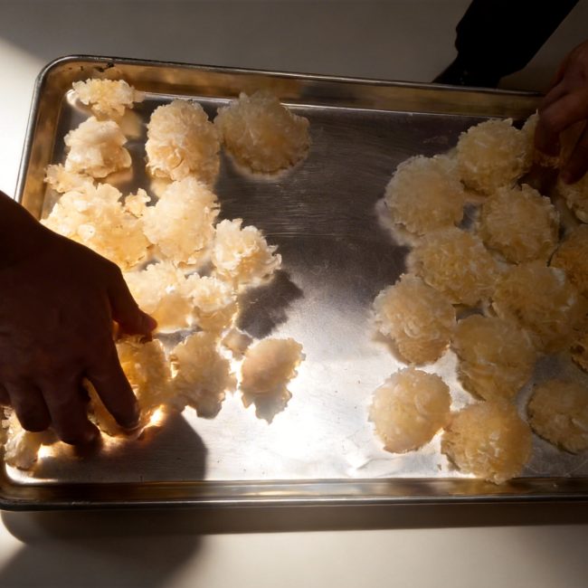 freeze-dried white fungus