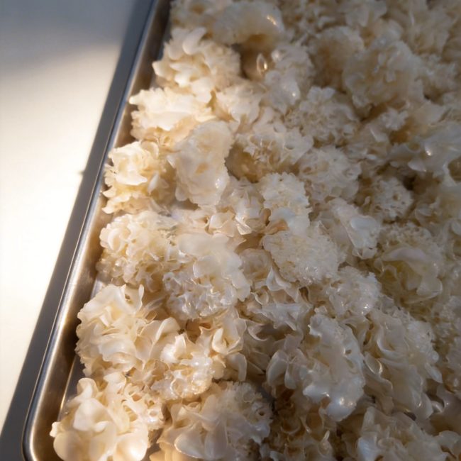 freeze-dried white fungus